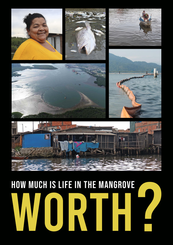 How Much is Life in the Mangrove Worth?